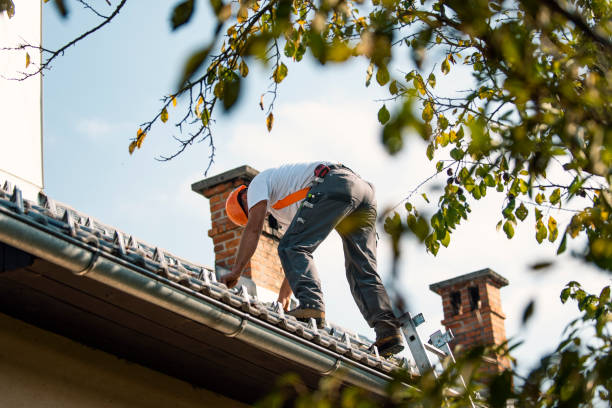 Professional Roofing Contractor in Myrtle Grove, NC